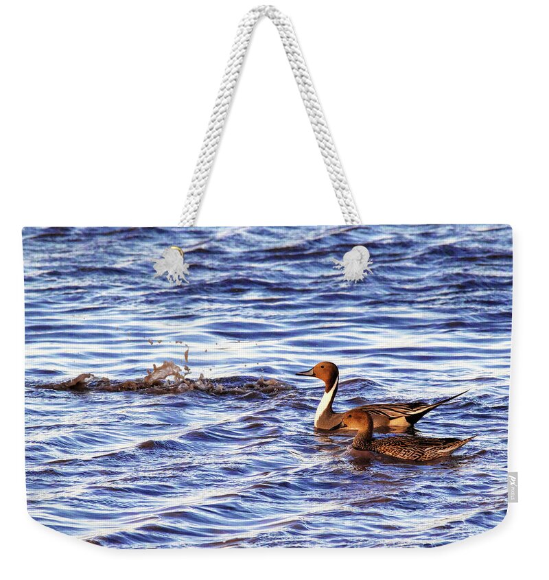 Ducks Unlimited Weekender Tote Bag featuring the photograph Only The Splash Remains #1 by Robert Harris