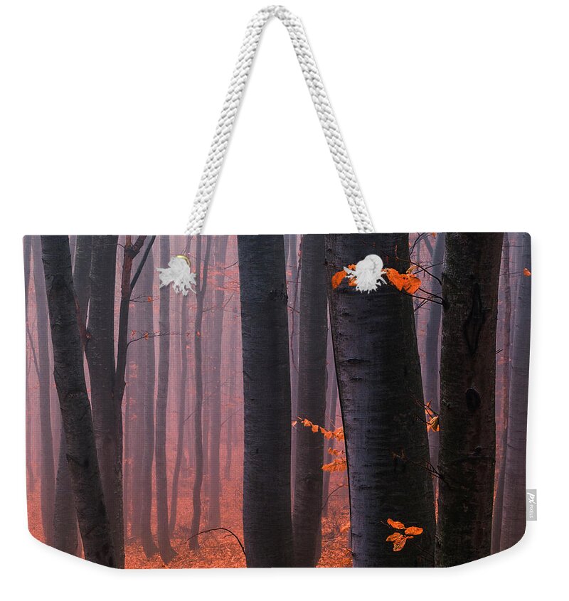 Mountain Weekender Tote Bag featuring the photograph Orange Wood by Evgeni Dinev