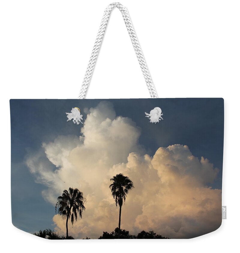 Palm Weekender Tote Bag featuring the photograph Palm tree silhouettes #1 by Jindra Noewi
