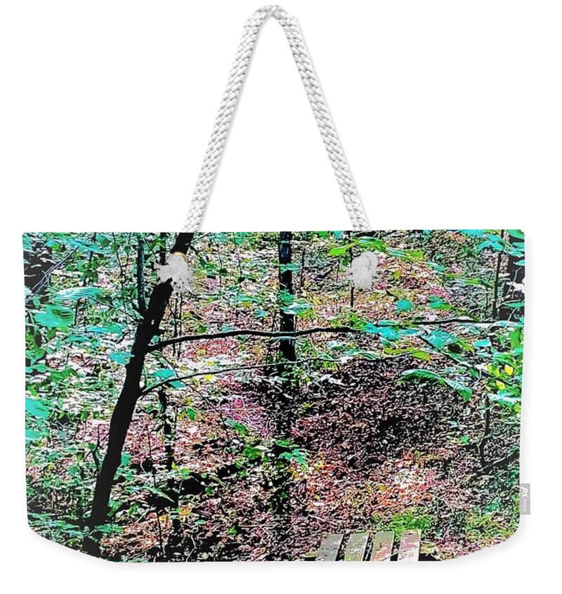 Southern Tier Western New York Jamestown Cabin Living Weekender Tote Bag featuring the photograph Paths less Traveled #1 by John Anderson