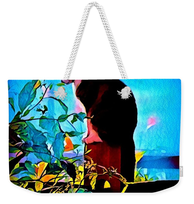 Kitty Weekender Tote Bag featuring the photograph Patience #1 by Rabiah Seminole