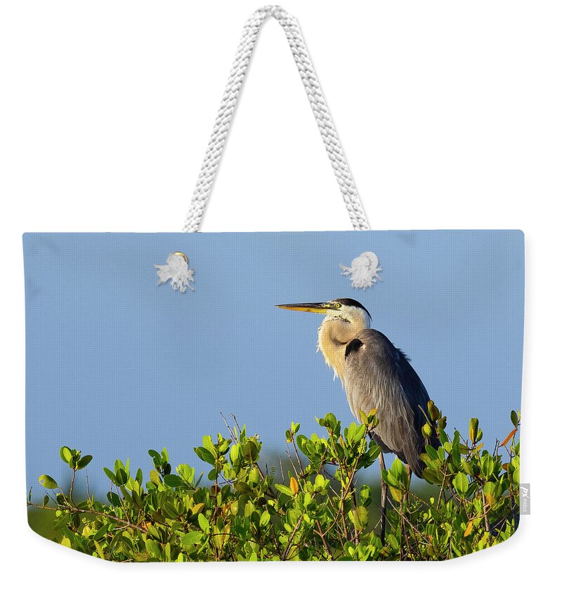 R5-2618 Weekender Tote Bag featuring the photograph Perched by Gordon Elwell