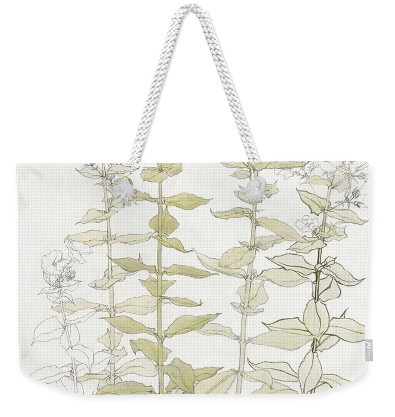 Antique Weekender Tote Bag featuring the painting Phlox color sketch by Julie de Graag #1 by MotionAge Designs