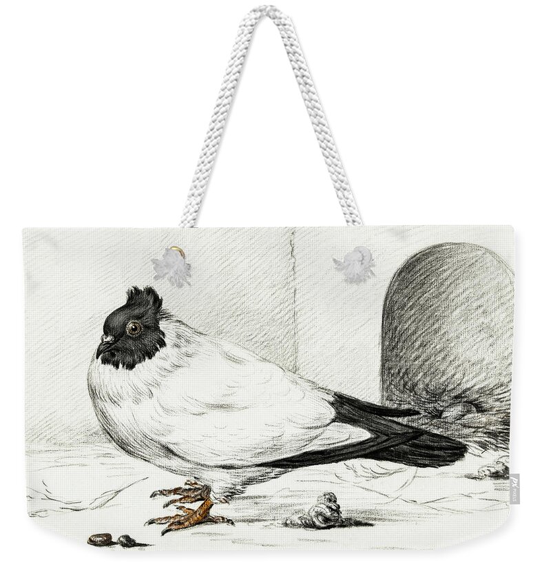 Animal Weekender Tote Bag featuring the painting Pigeon and a nest with an egg #1 by MotionAge Designs