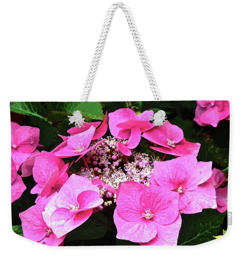 Flowers Weekender Tote Bag featuring the photograph Pink Flowers #1 by Stephanie Moore