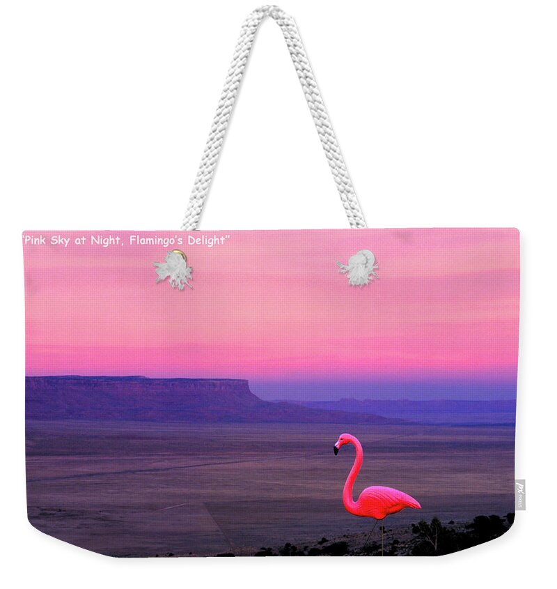 Plastic Weekender Tote Bag featuring the photograph Pink Sky at Night Flamingos Delight #1 by R C Fulwiler