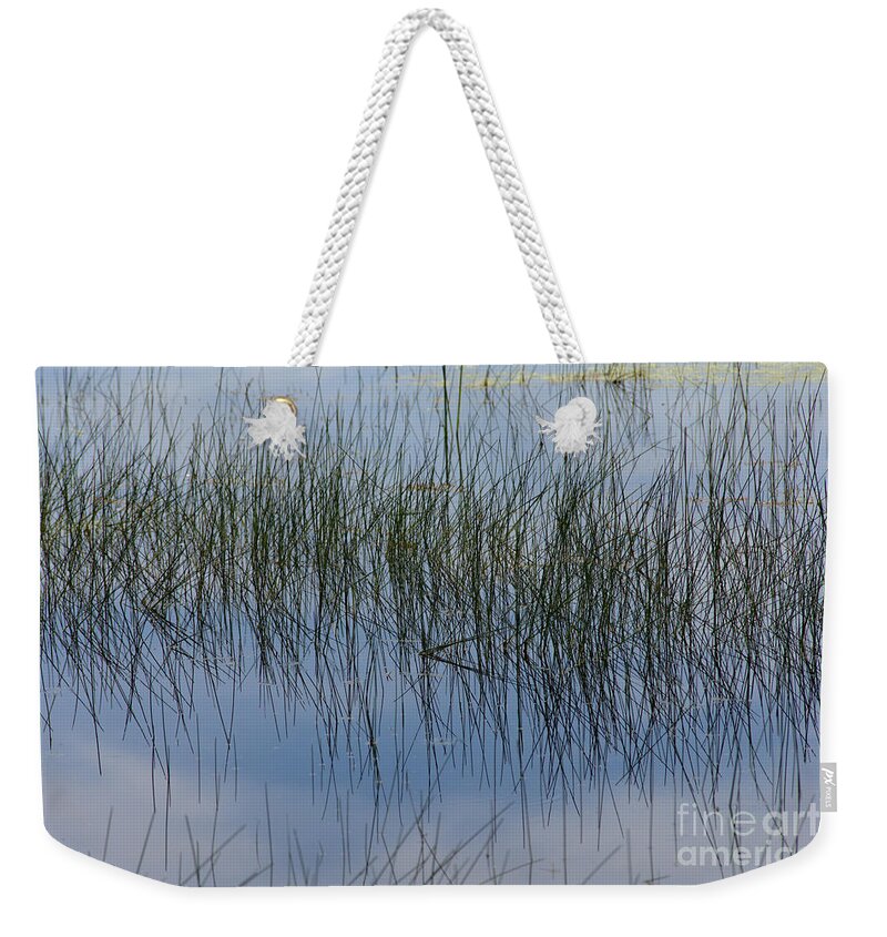 Pond Weekender Tote Bag featuring the photograph Pond Reflections by Kae Cheatham