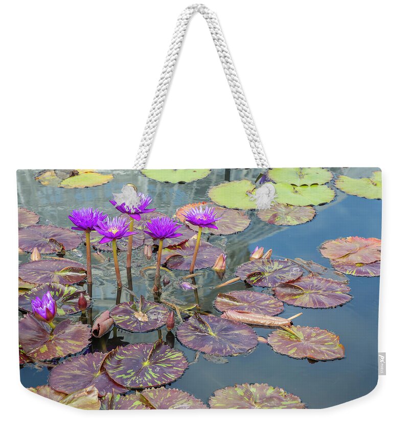 Lily Weekender Tote Bag featuring the photograph Purple Water Lilies and Pads by Cate Franklyn