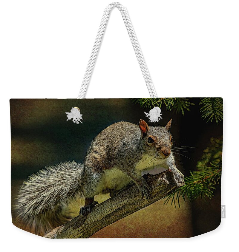 Squirrel Weekender Tote Bag featuring the photograph Ready To Jump #1 by Cathy Kovarik