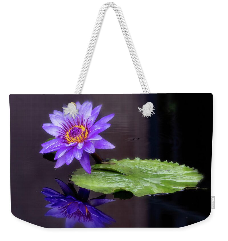 Floral Weekender Tote Bag featuring the photograph Reflecting #1 by Usha Peddamatham