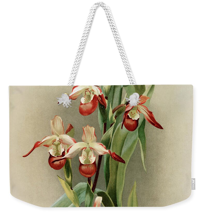 Reichenbachia Orchids Weekender Tote Bag featuring the mixed media Reichenbachia Orchids #1 by World Art Collective