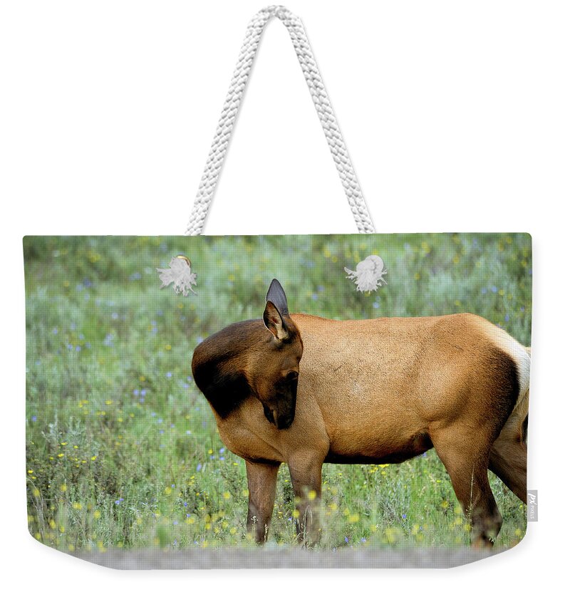 Co Weekender Tote Bag featuring the photograph Rocky Mountain National Park #2 by Doug Wittrock