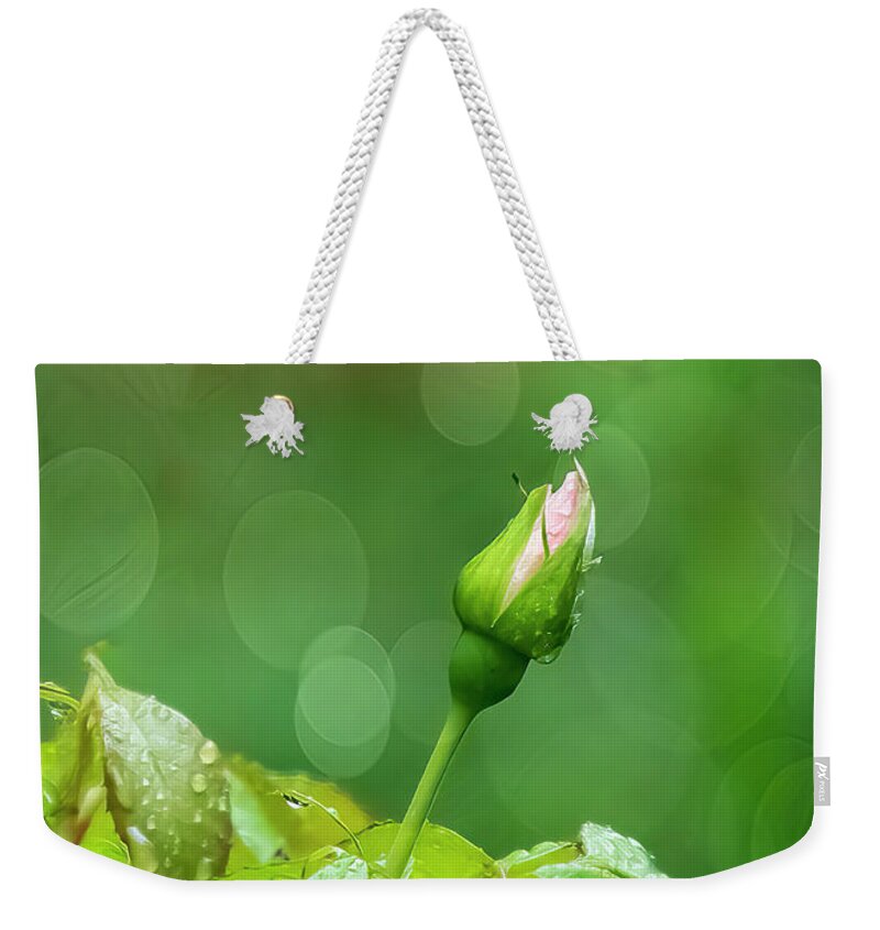 Flower Weekender Tote Bag featuring the photograph Rose Bud 1355 #1 by Cathy Kovarik