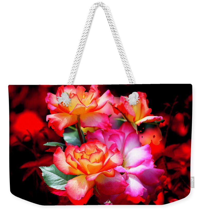 Ruby Red Roses Weekender Tote Bag featuring the digital art Ruby Red #1 by Don Wright
