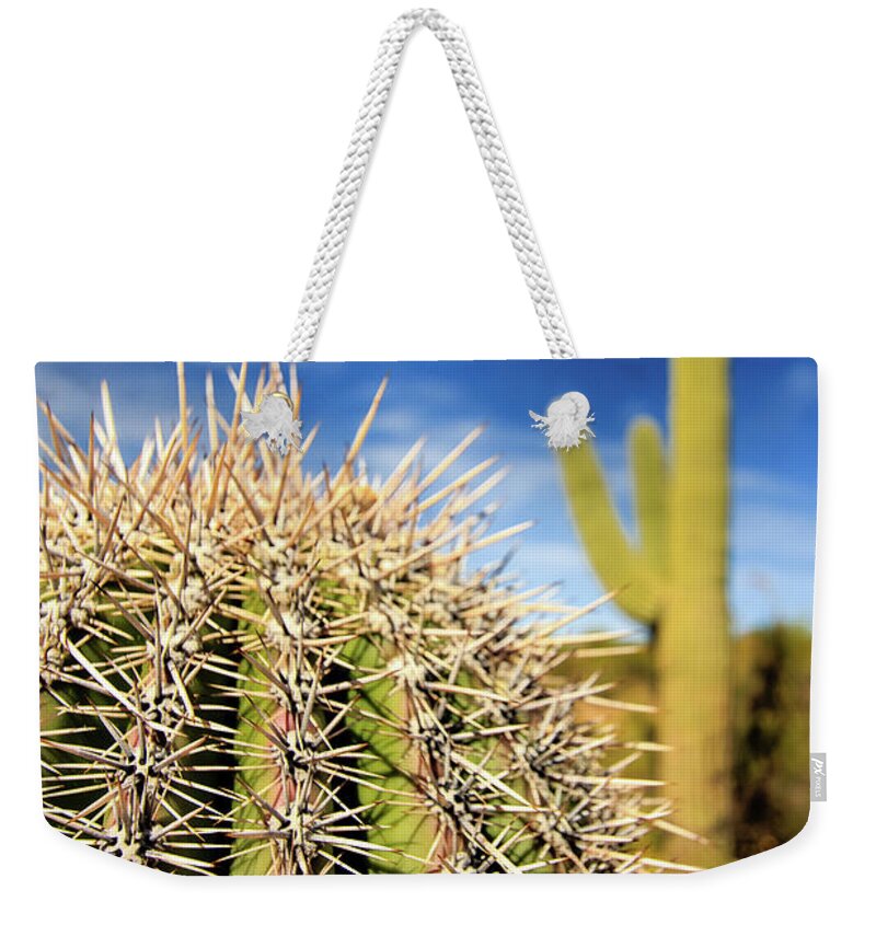 Canyon Weekender Tote Bag featuring the photograph Saguaro Cactus in the Arizona Desert #1 by Craig A Walker