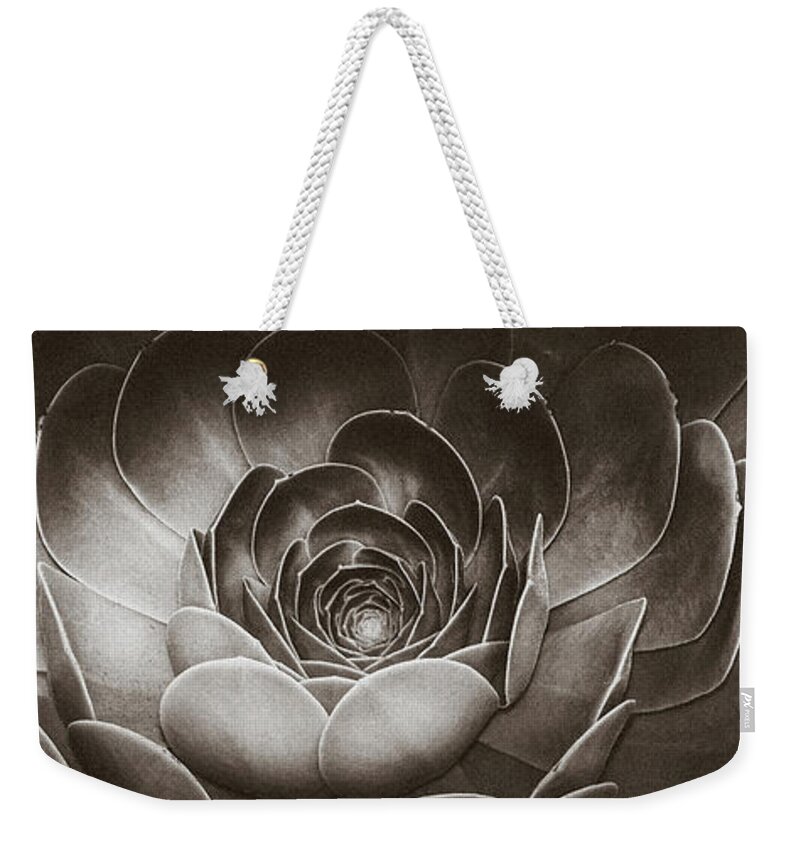 Echeveria Weekender Tote Bag featuring the photograph Santa Barbara Succulent #9 by Jennifer Wright
