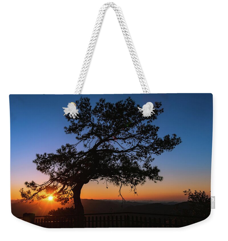 Cyprus Weekender Tote Bag featuring the photograph Silhouette of a forest pine tree during blue hour with bright sun at sunset. by Michalakis Ppalis