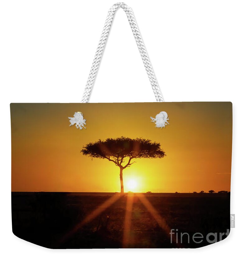 Sunrise Weekender Tote Bag featuring the photograph Single Acacia tree on the horizon at sunrise in the Masai Mara, #1 by Jane Rix