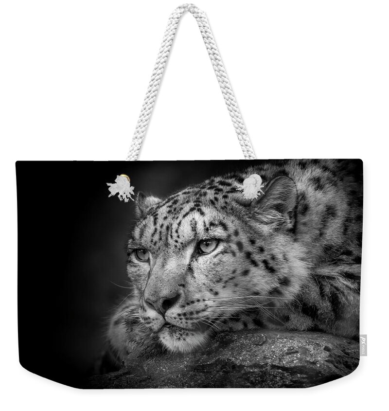 Snow Weekender Tote Bag featuring the photograph Snow Leopard #1 by Chris Boulton