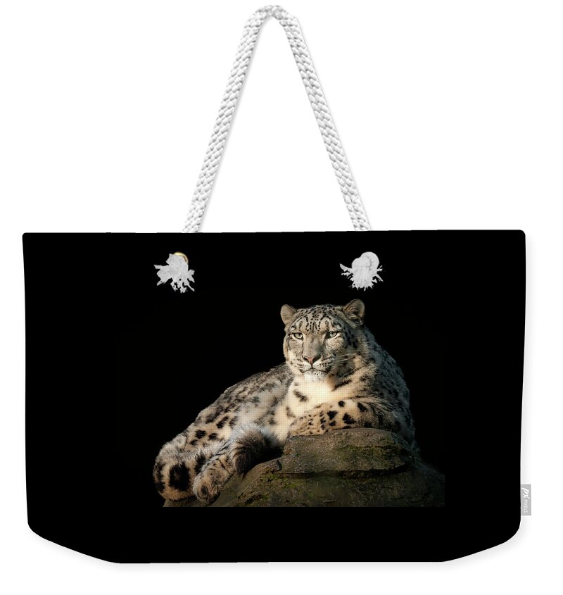 Animal Weekender Tote Bag featuring the photograph Snow Leopard portrait #1 by Chris Boulton