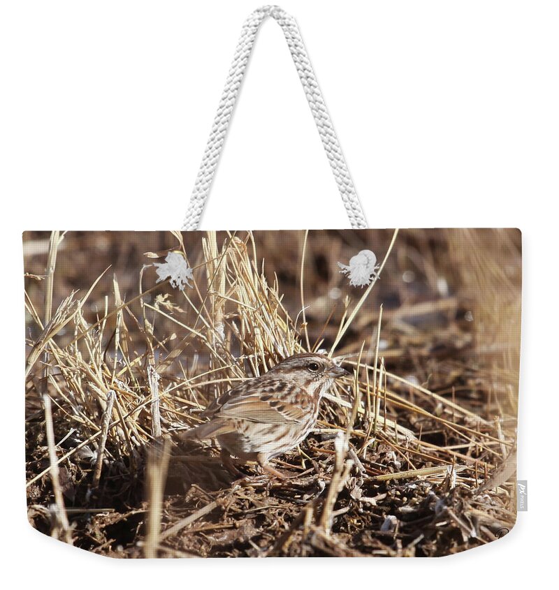 Song Sparrow Weekender Tote Bag featuring the photograph Song Sparrow #1 by Robert Harris