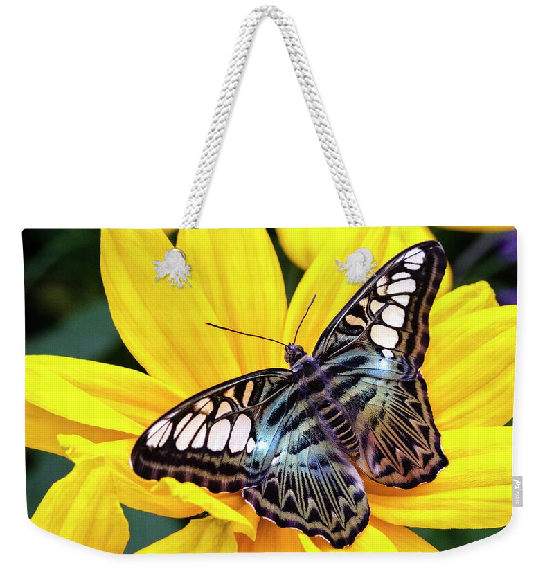 Vibrant Rest Stop Weekender Tote Bag featuring the photograph Vibrant Rest Stop by Patty Colabuono