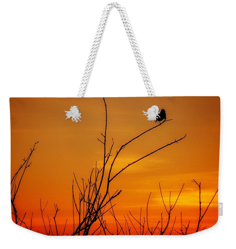 Sunset Bird Weekender Tote Bag featuring the photograph Sunset #2 by Windshield Photography