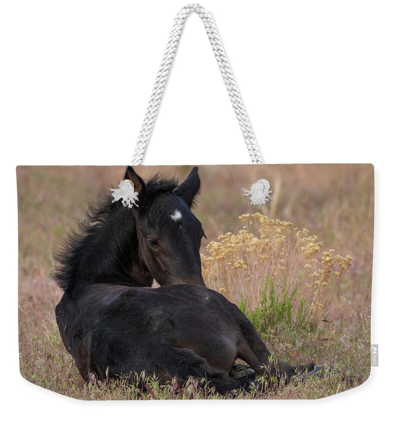 Wild Horses Weekender Tote Bag featuring the photograph Sweetness #1 by Mary Hone