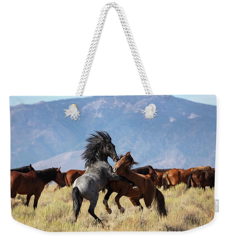  Weekender Tote Bag featuring the photograph _t__7224 by John T Humphrey