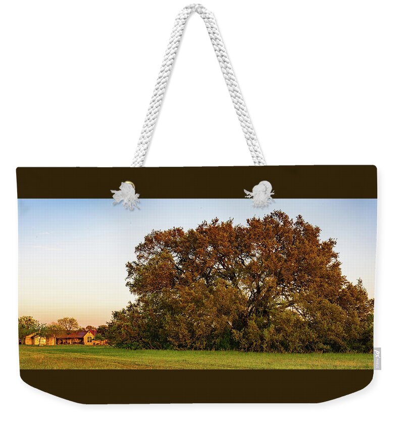 Bosque County Weekender Tote Bag featuring the photograph Texas Ranch Oak at Sunset by Ron Long Ltd Photography