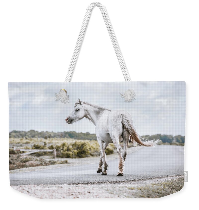 Photographs Weekender Tote Bag featuring the photograph The Time to Choose - Horse Art #1 by Lisa Saint