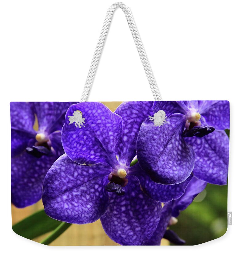 China Weekender Tote Bag featuring the photograph Vanda Orchid by Tanya Owens