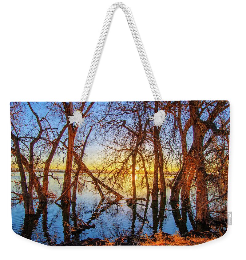 Autumn Weekender Tote Bag featuring the photograph Twisted Trees, bare trees on Barr Lake, during sunset, in Barr Lake State Park, Brighton, CO Spring by Tom Potter