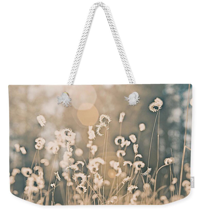 Wheat Weekender Tote Bag featuring the photograph Wheat Fields by Carmen Kern