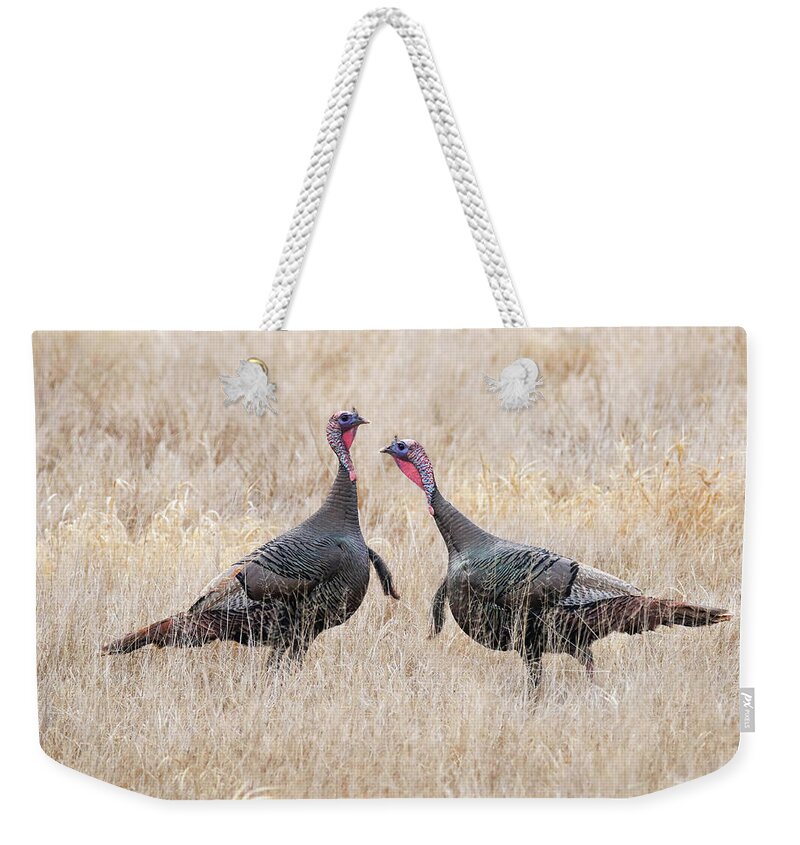 Wild Turkeys Weekender Tote Bag featuring the photograph Wild Turkey #1 by Brook Burling
