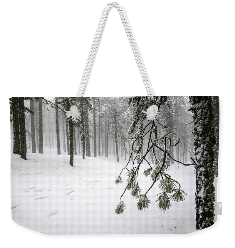 Winter Landscape Weekender Tote Bag featuring the photograph Winter forest landscape with mountain covered in snow by Michalakis Ppalis