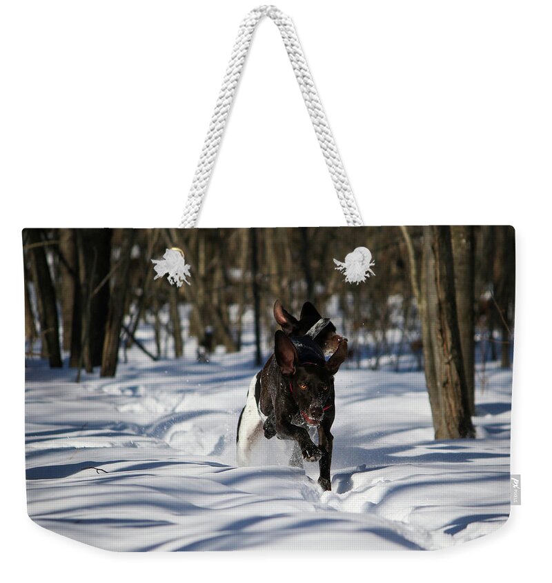 Gsp Weekender Tote Bag featuring the photograph Winter Fun #1 by Brook Burling