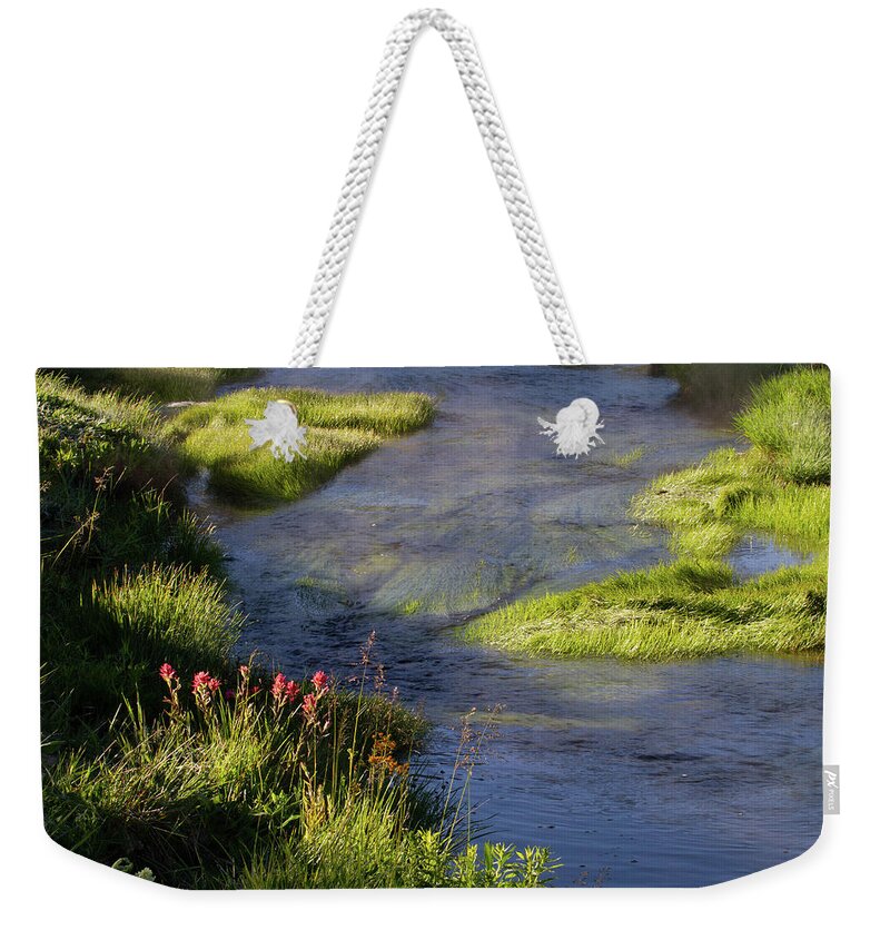 North America Weekender Tote Bag featuring the photograph Yellowstone Patterns Series #1 by Mark Miller
