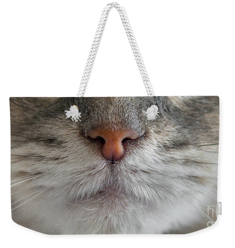  Weekender Tote Bag featuring the photograph Zoey by Susan Warren