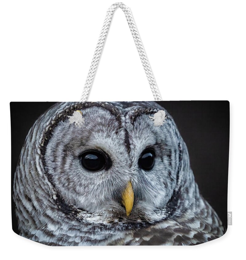 Owl Weekender Tote Bag featuring the photograph Barred Owl #10 by Brad Bellisle