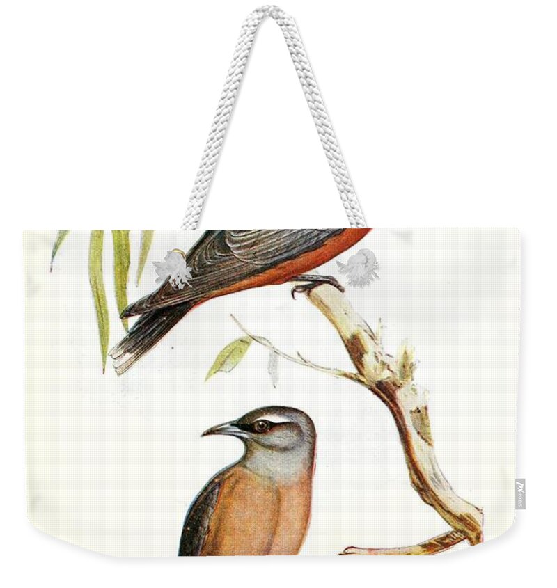 Birds Weekender Tote Bag featuring the mixed media Beautiful Vintage Bird #1050 by World Art Collective