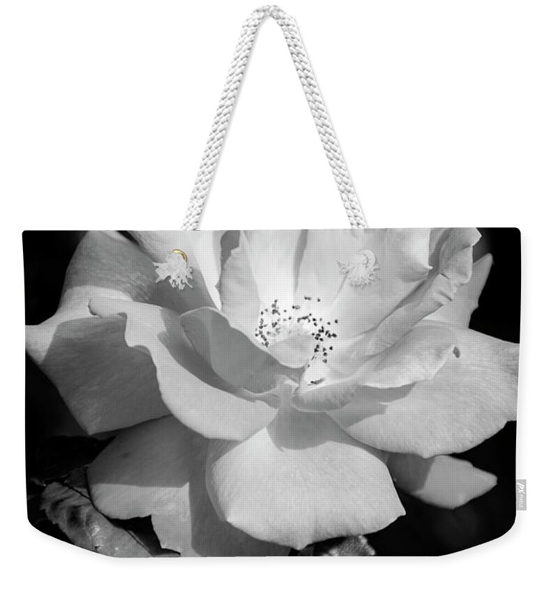 Flowers Weekender Tote Bag featuring the photograph Nature Art #11 by Robert Grac