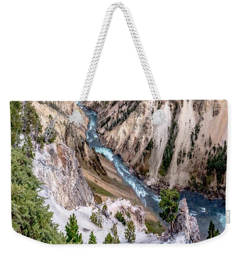 Tree Weekender Tote Bag featuring the photograph Lower Yellowstone Falls in the Yellowstone National Park #15 by Alex Grichenko