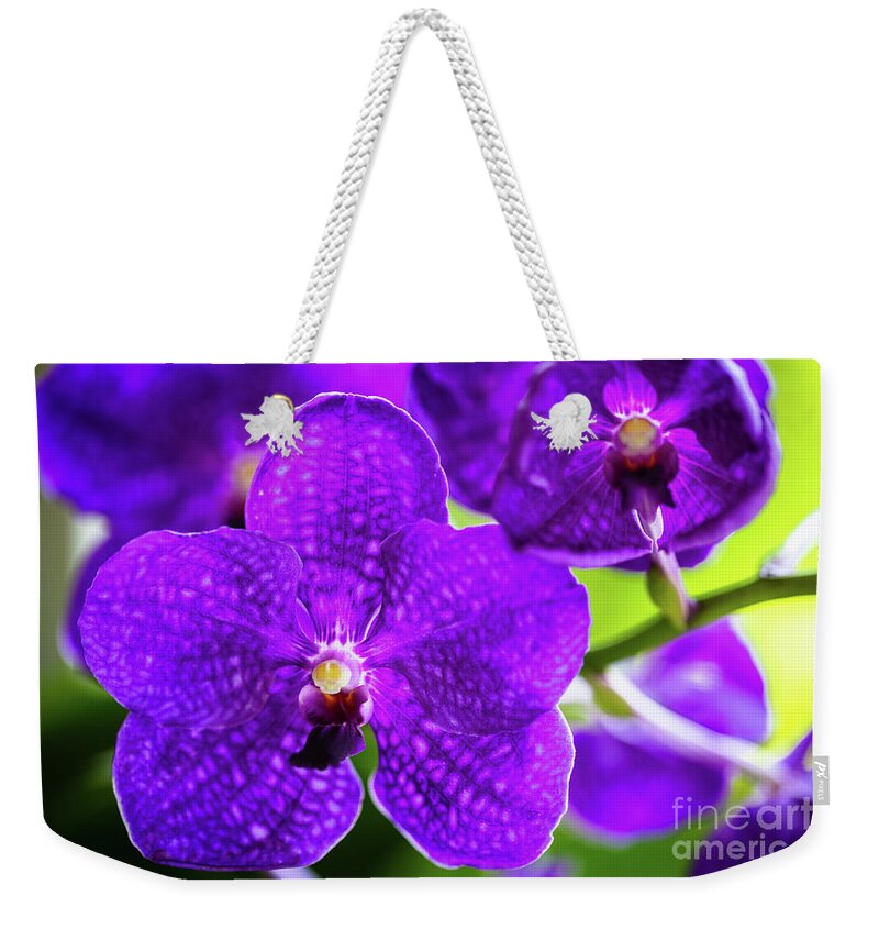 Background Weekender Tote Bag featuring the photograph Purple Orchid Flowers #16 by Raul Rodriguez