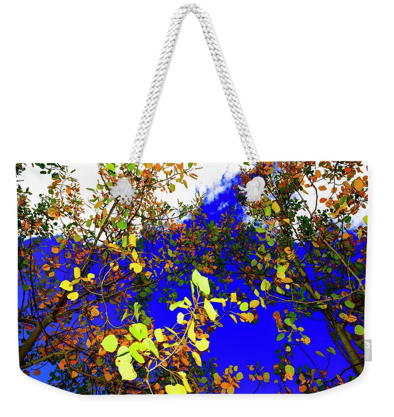 Bright Blue Sky Weekender Tote Bag featuring the photograph Colorado Autumn Photography 20160911-77 by Rowan Lyford