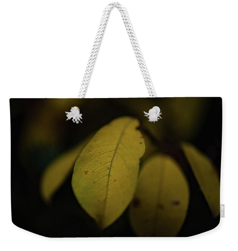 Co Weekender Tote Bag featuring the photograph Fall colors, Colorado by Doug Wittrock