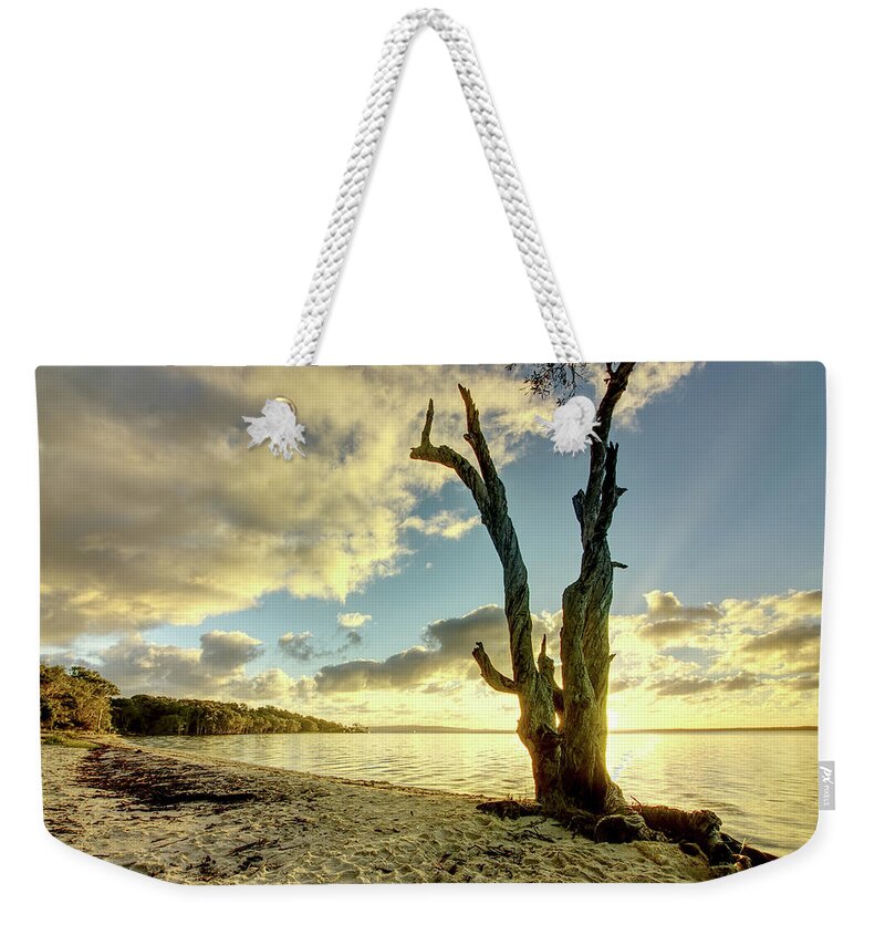 Tree Weekender Tote Bag featuring the photograph 1703rise2 by Nicolas Lombard