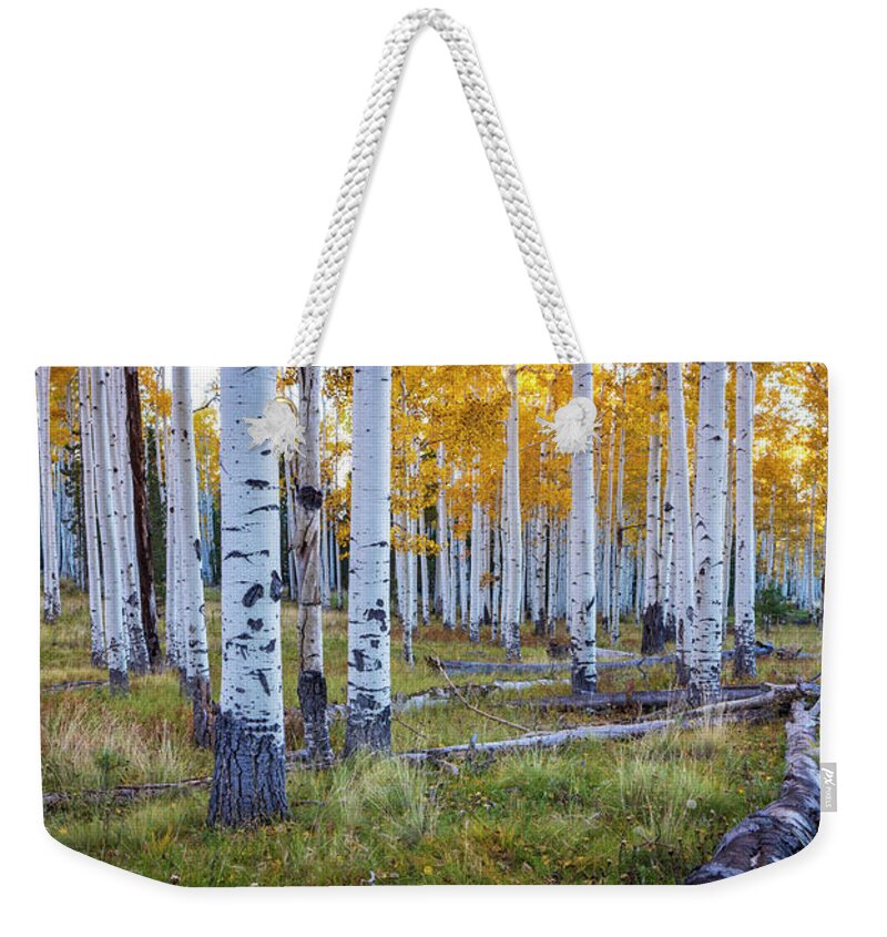 Flagstaff Weekender Tote Bag featuring the photograph 1708 Flagstaff Fall Colors by Steve Sturgill