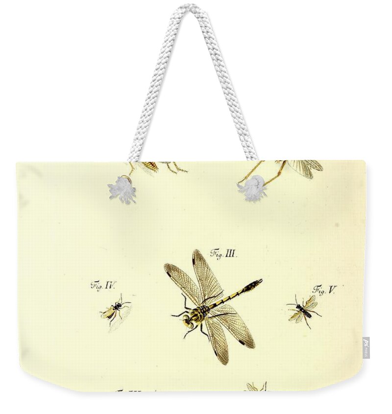 Grasshoppers Weekender Tote Bag featuring the mixed media Insects #174 by World Art Collective