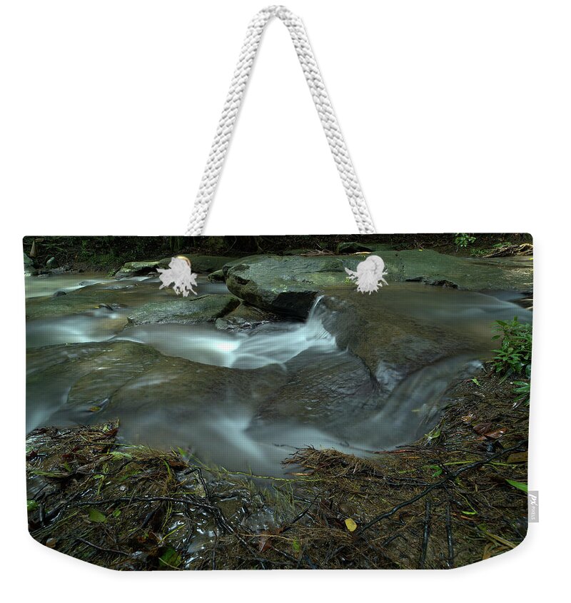 Sunshine-coast Weekender Tote Bag featuring the photograph 1904buderim6 by Nicolas Lombard